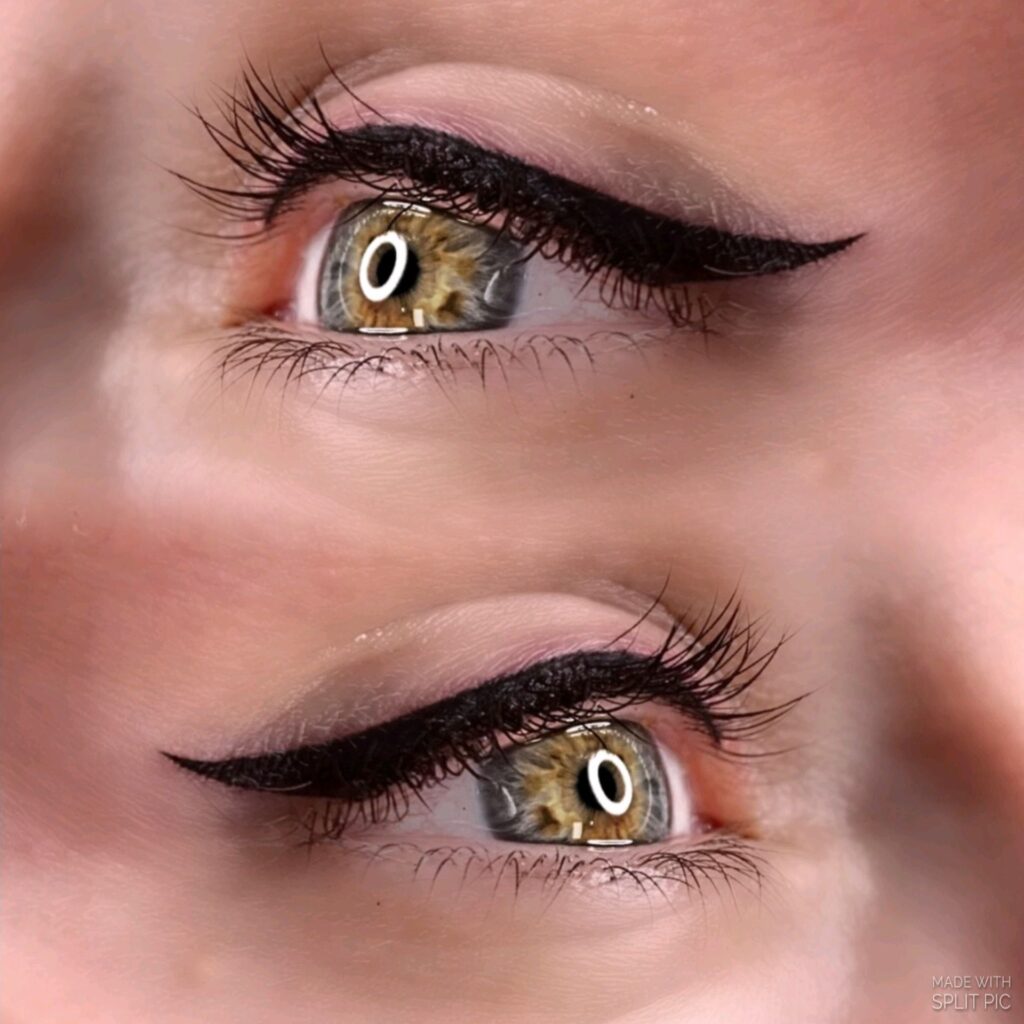 WhatsApp Image 2026-02-06 at 5.02.22 PM